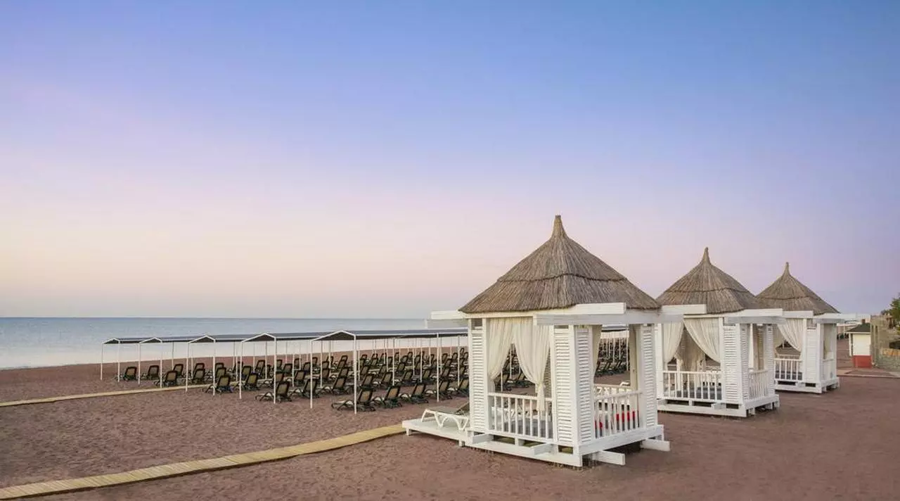 ICSANTAY_SHABAVIZ (4).jpg